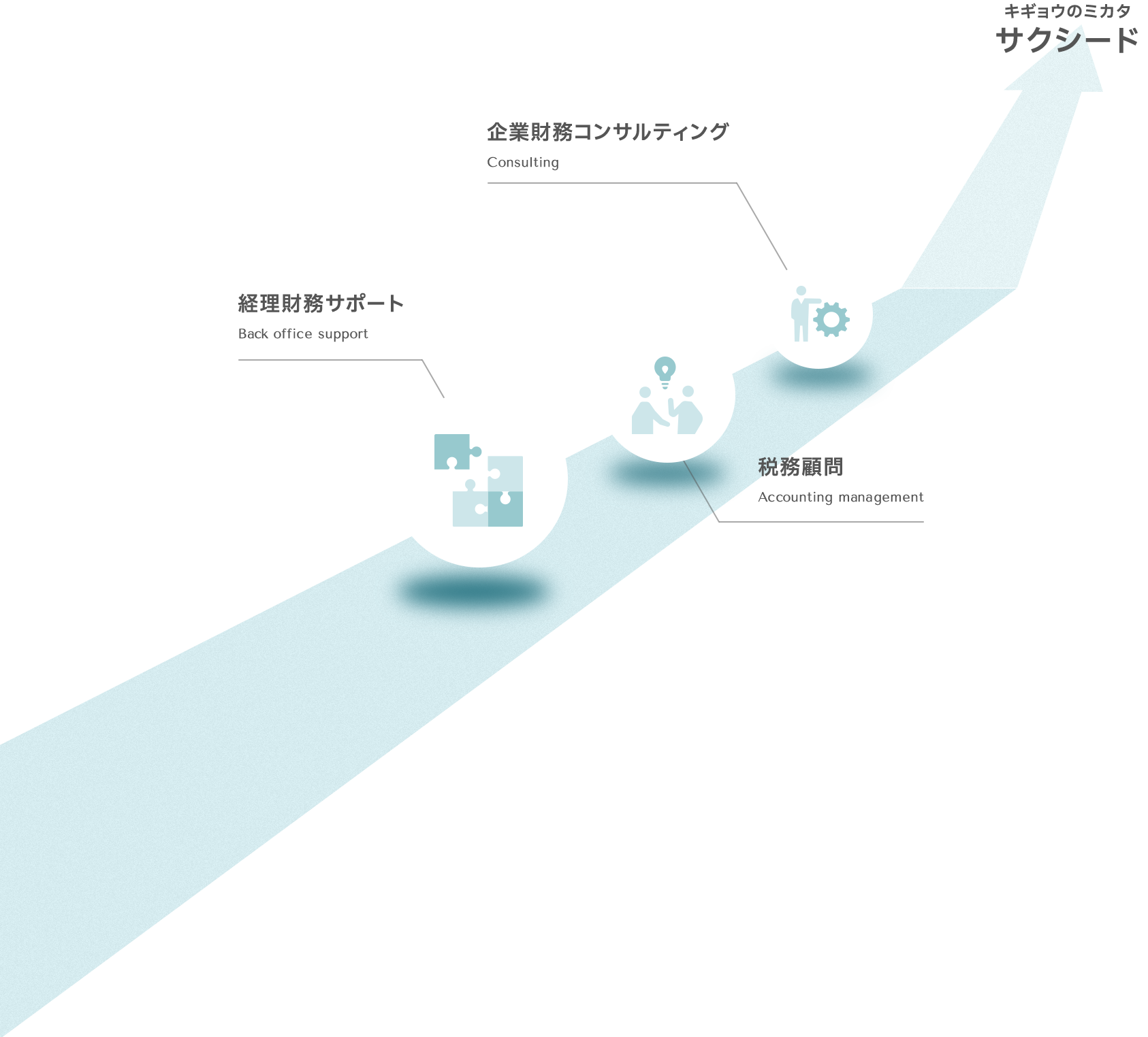 D 井上歯科医院